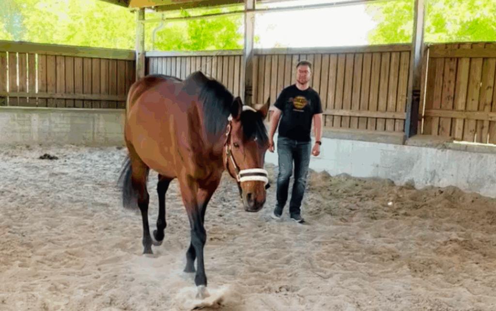 Systemische Klarheit: Der entscheidende Faktor für erfolgreiche Teams