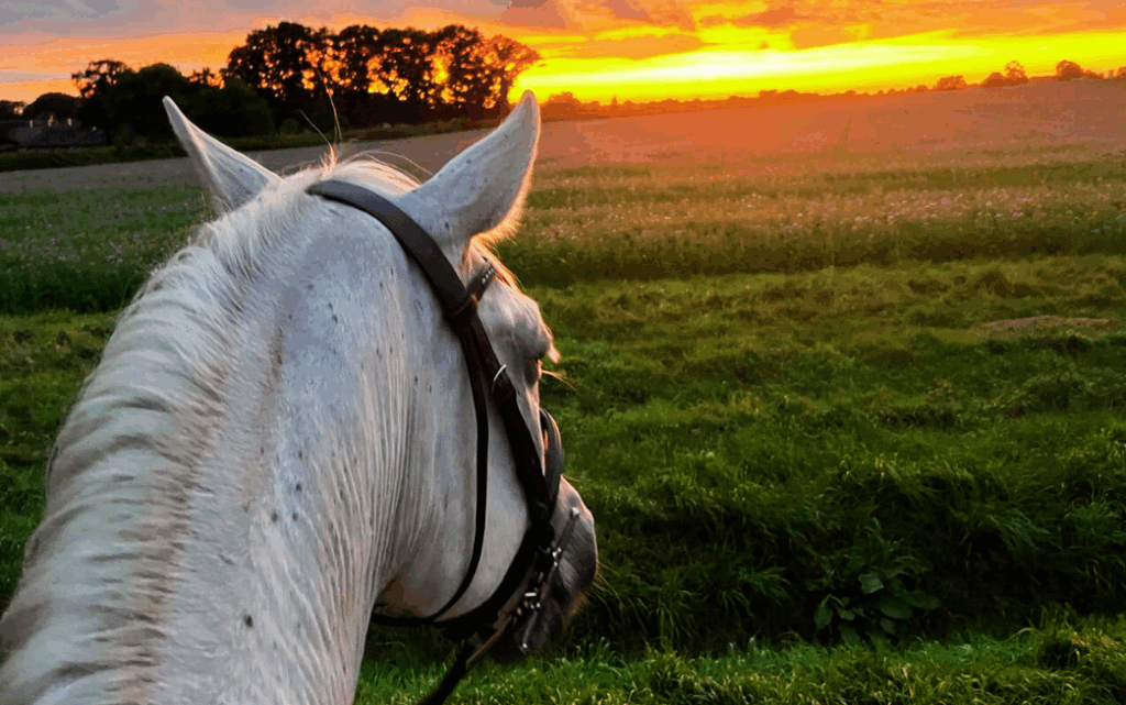 reise zu mir selbst - der weg zu innerenr ausgeglichenheit - W.INSIGHT