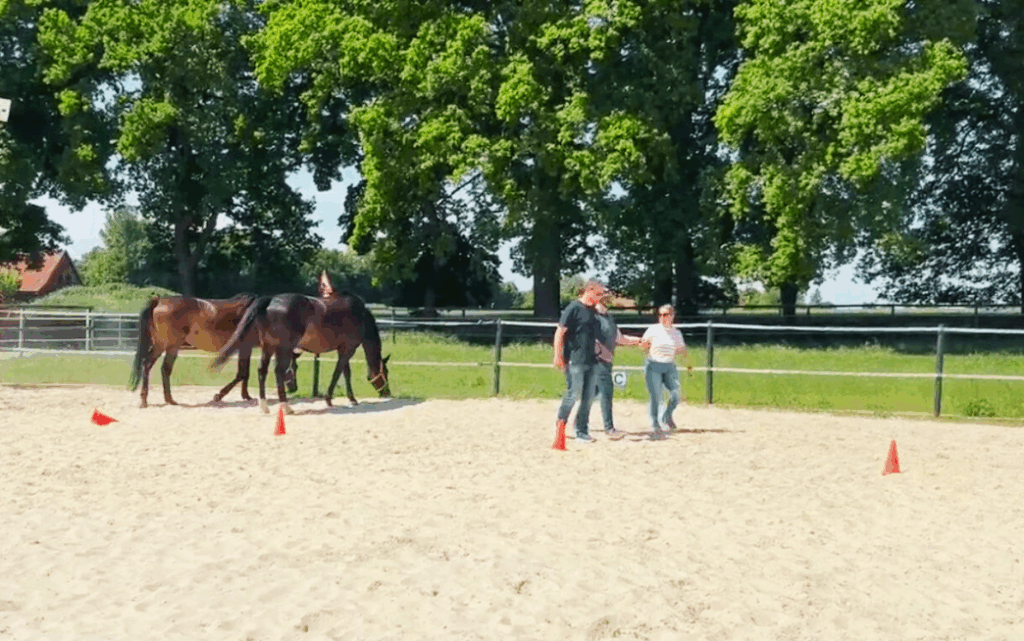 W.INSIGHT Führungskräfte-Coaching