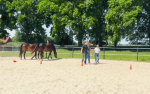 W.INSIGHT Führungskräfte-Coaching