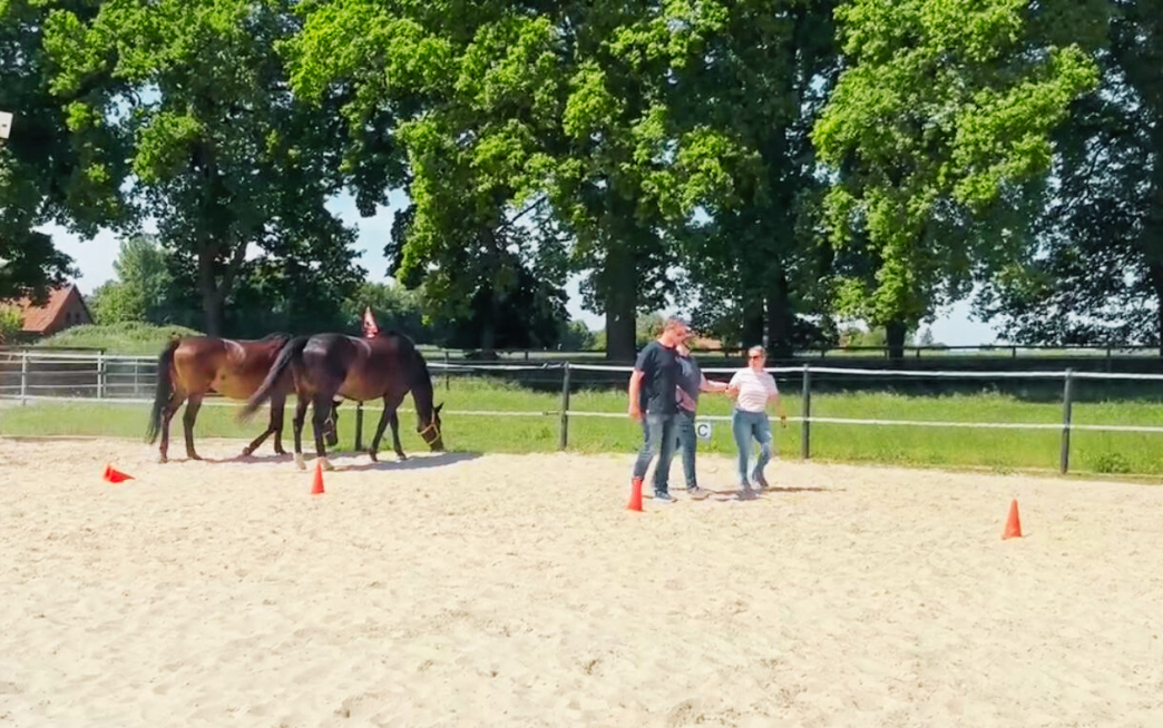 W.INSIGHT Führungskräfte-Coaching